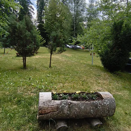 Gardens Forest A3 - Free Parking,free Baby Cot Apartmán *