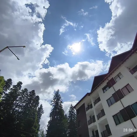 Gardens Forest A3 - Free Parking *