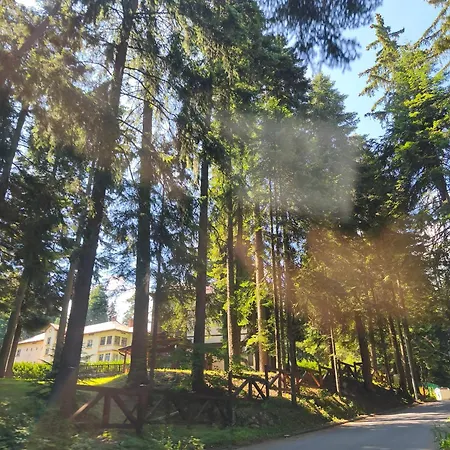 Gardens Forest A3 - Free Parking,free Baby Cot * Borovec