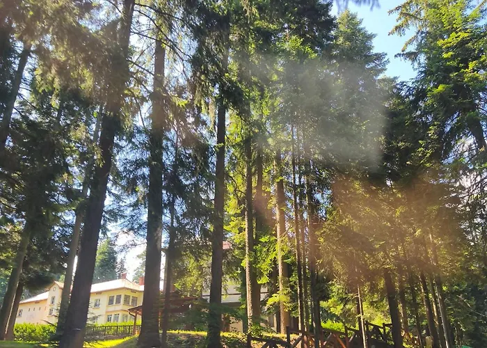 Gardens Forest A3 - Free Parking * Borovets